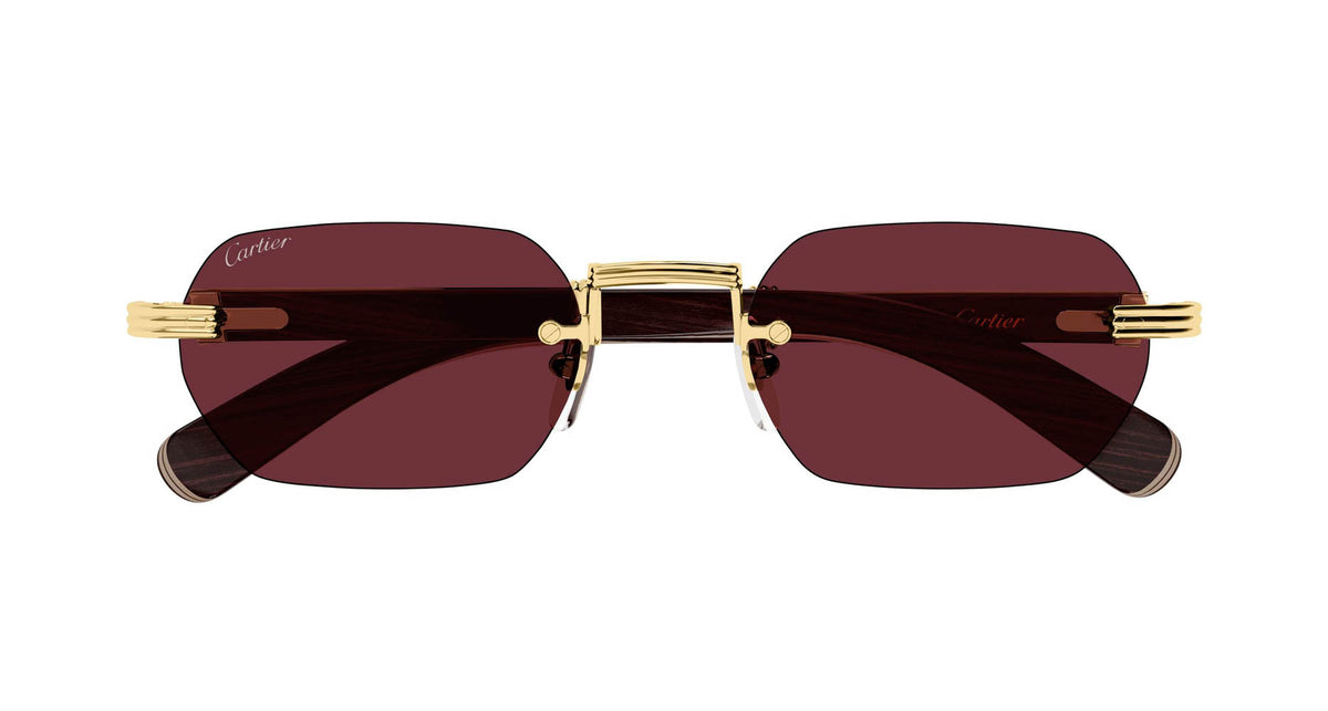 Cartier CT0362S 008