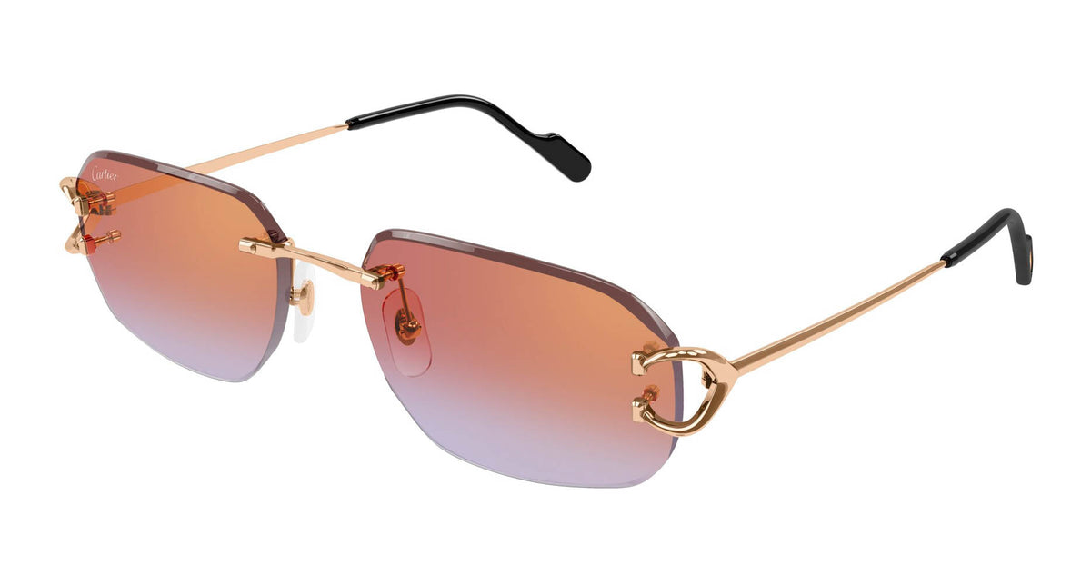 Cartier CT0468S 005