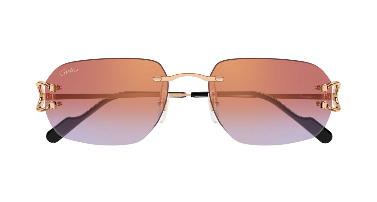 Cartier CT0468S 005