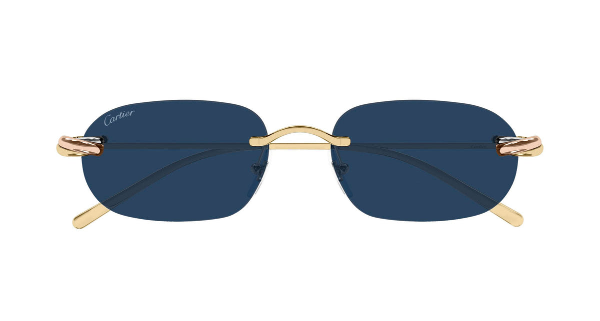 Cartier CT0686S 002