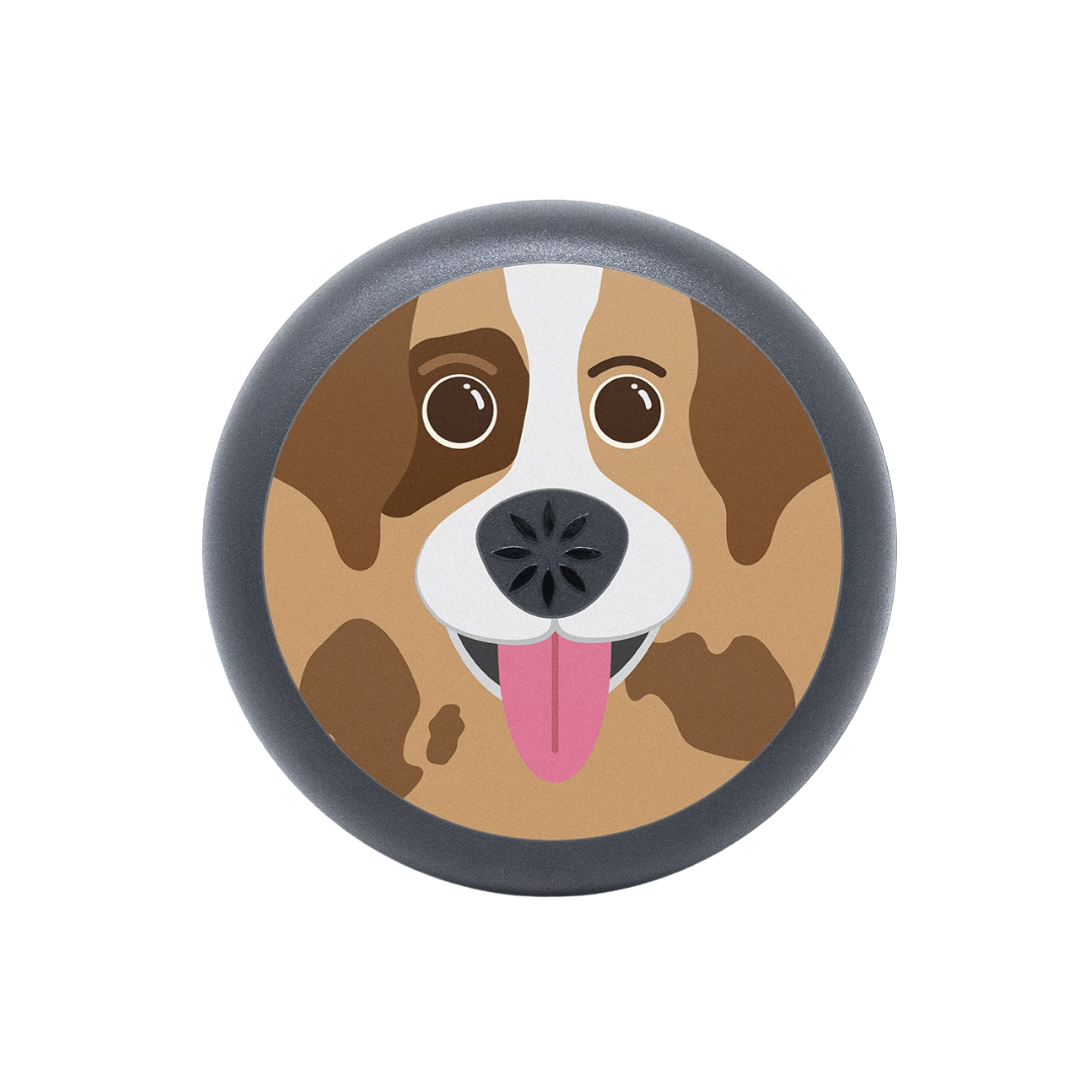 Invisalign Aligner Case Dog