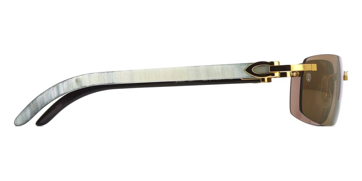 Cartier Buffalo Horn CT0046S 004 6J4
