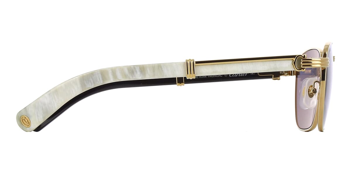 Cartier Buffalo Horn CT0363S 003