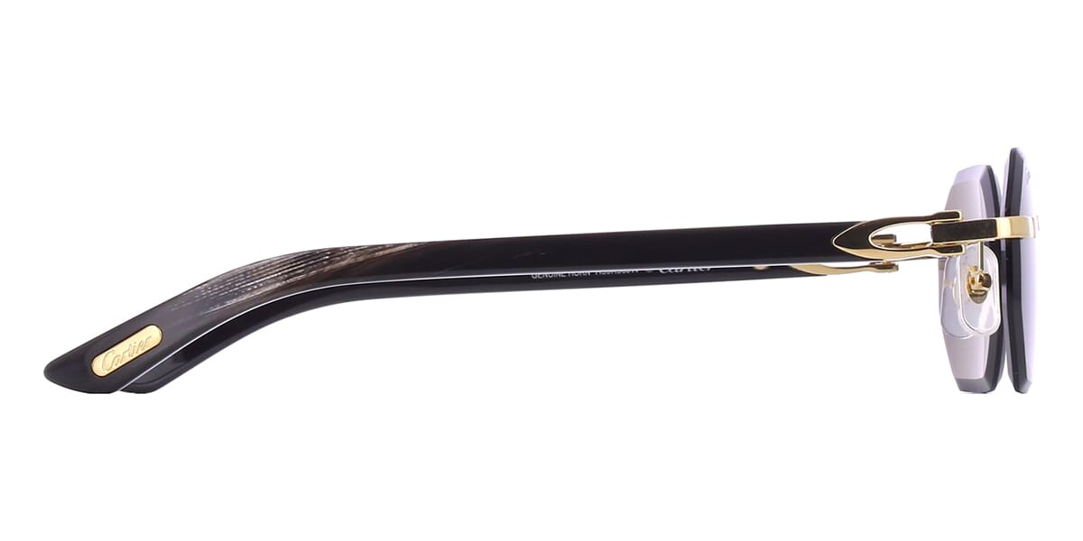 Cartier Buffalo Horn CT0439S 001 0JW
