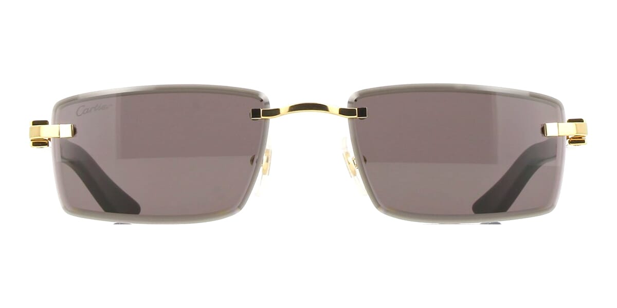 Cartier Buffalo Horn CT0582S 001 7G9