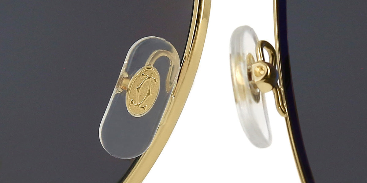 Cartier Buffalo Horn CT0272S 001 Polarised