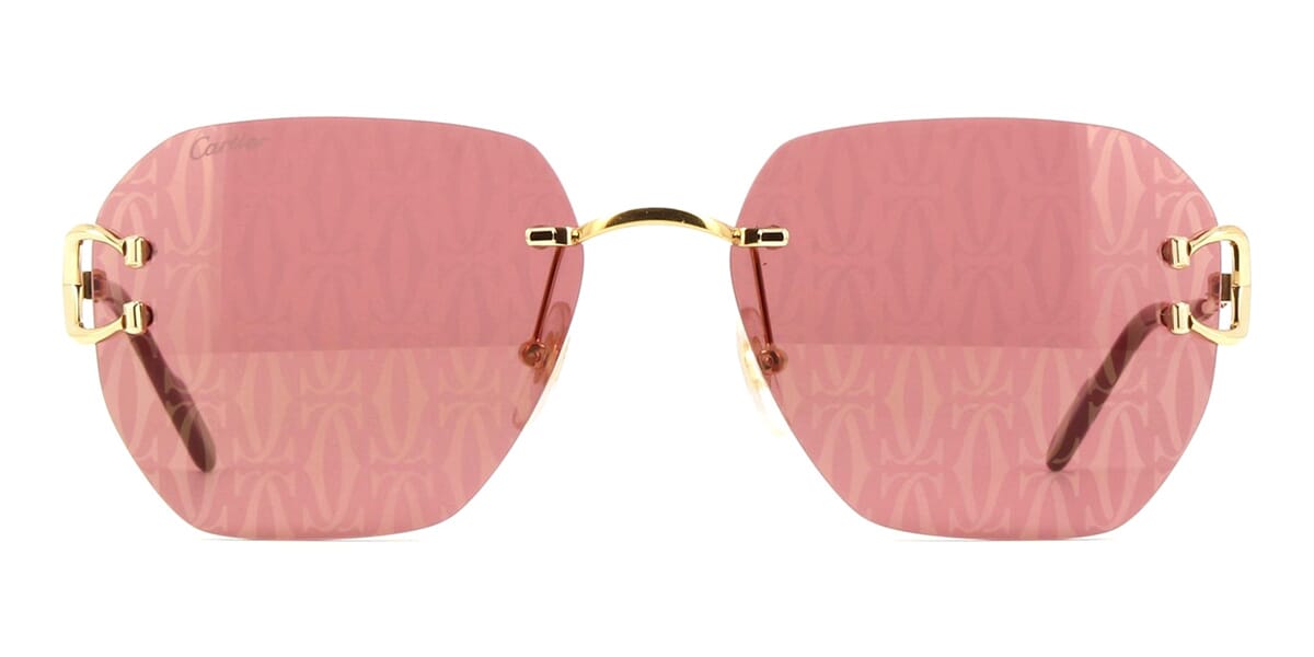 Cartier CT0394S 003