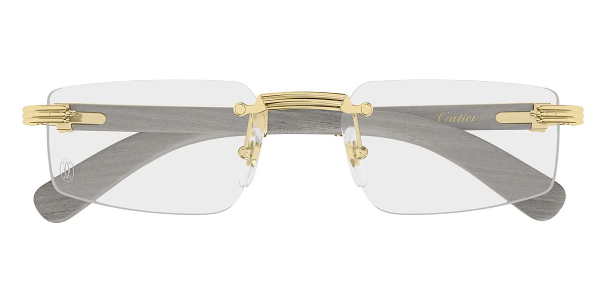 Cartier CT0485O 005