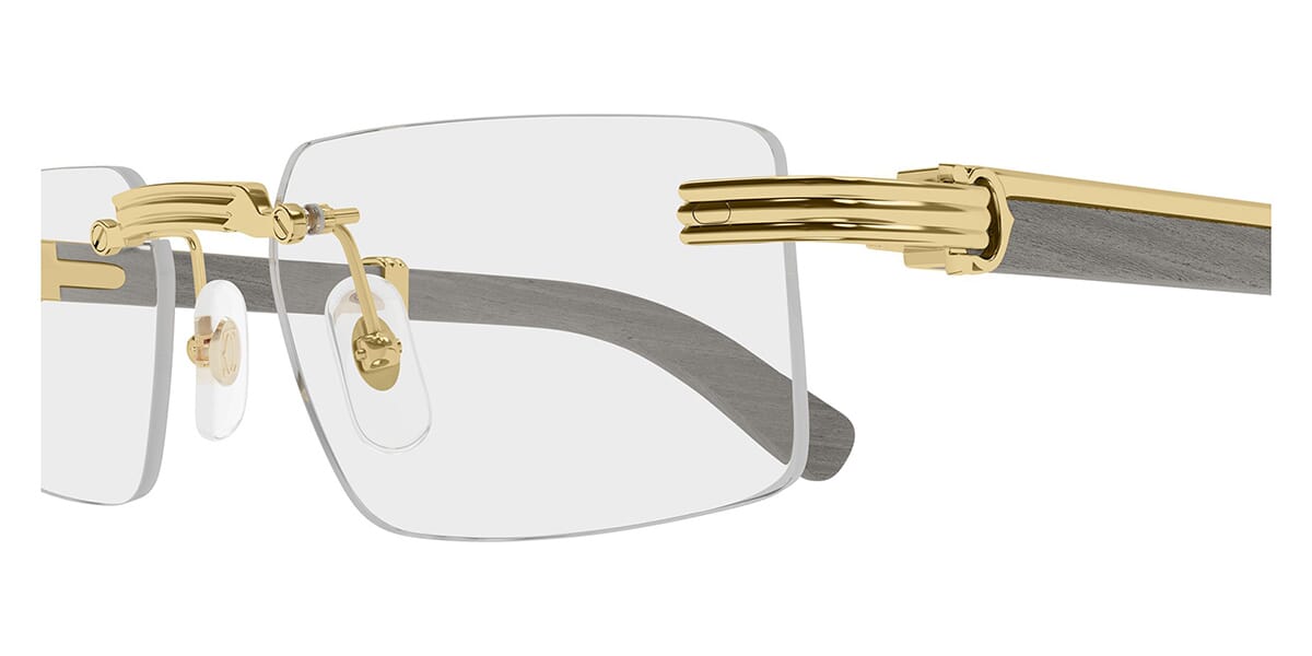 Cartier CT0485O 005