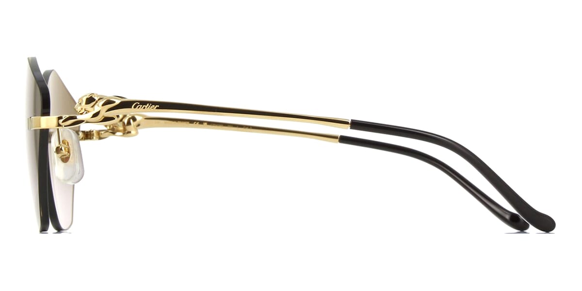Cartier Panthere CT0429S 001