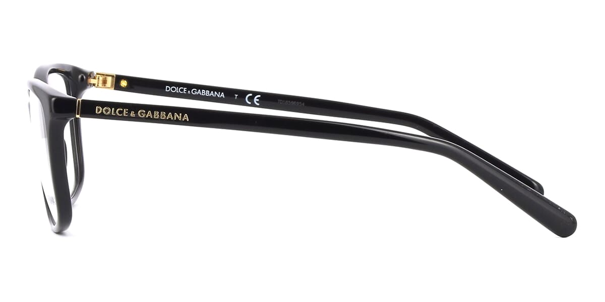 Dolce&Gabbana DG3222 501