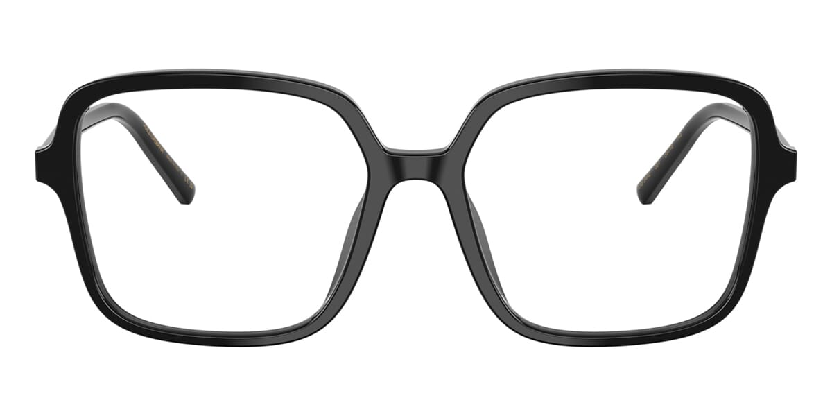 Dolce&Gabbana DG3442 501