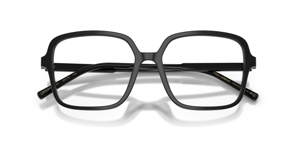 Dolce&Gabbana DG3442 501