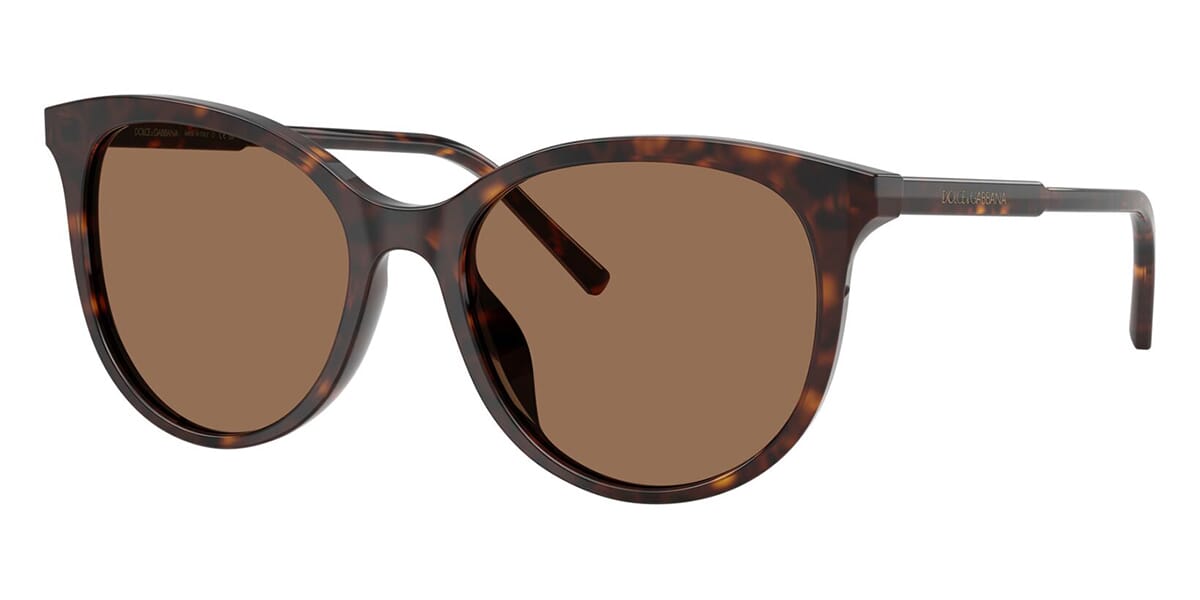 Dolce&Gabbana DG4540 502/13