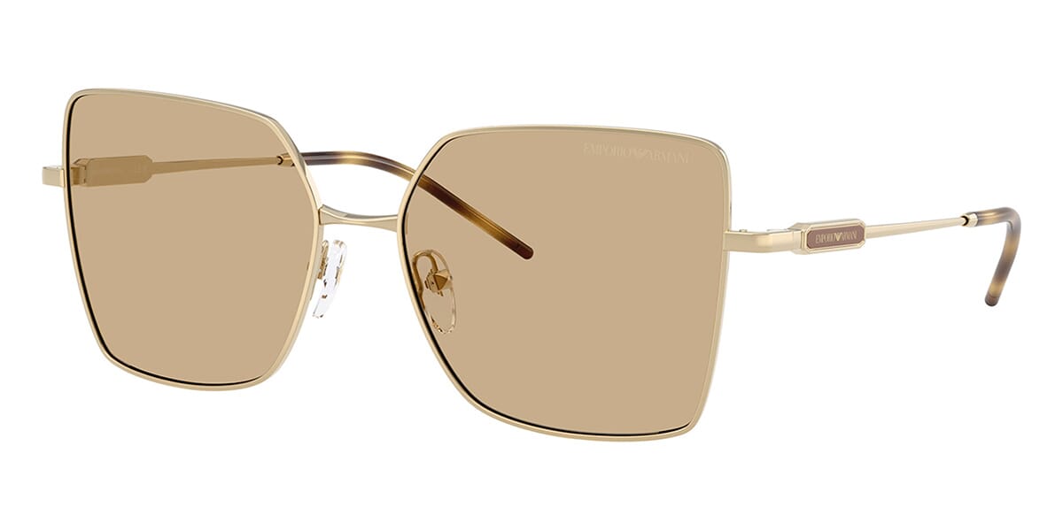 Emporio Armani EA2179 3013/73