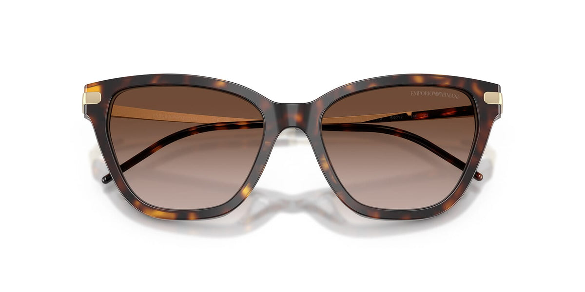 Emporio Armani EA4251 5026/13