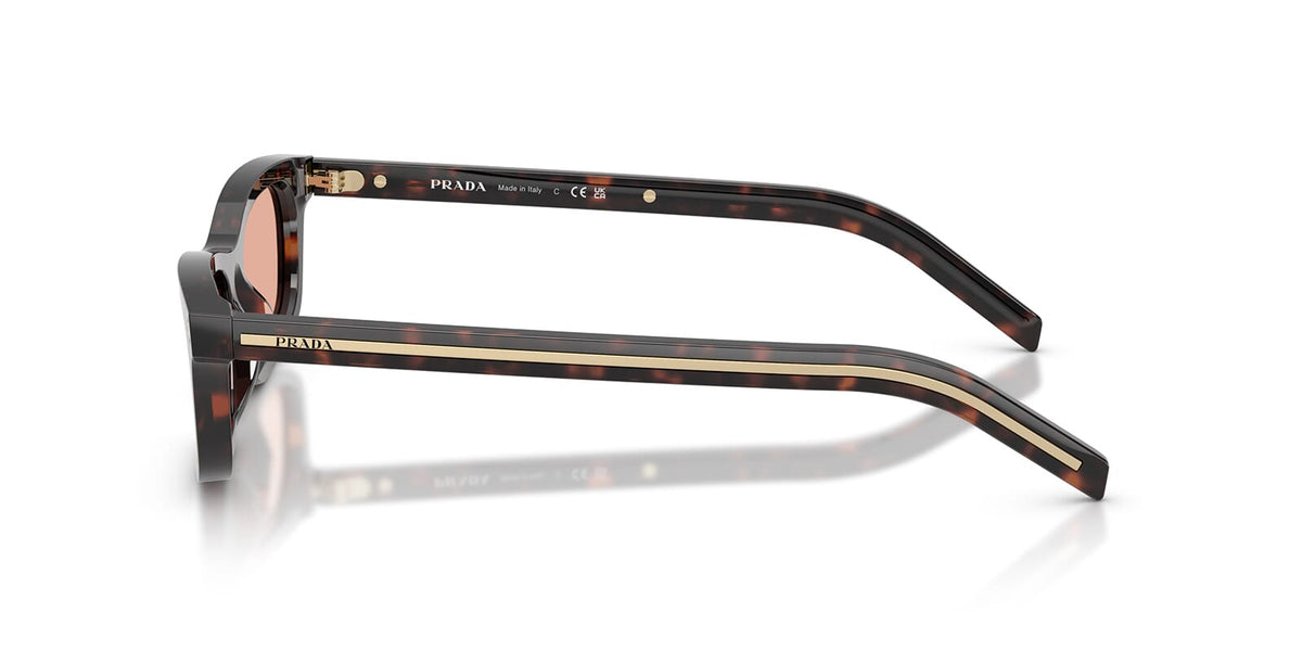 Prada PR D05S 17N50W