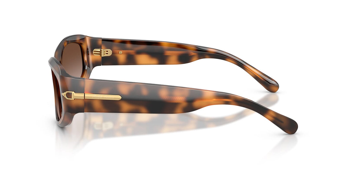 Ralph Lauren RL8243U 6089/13