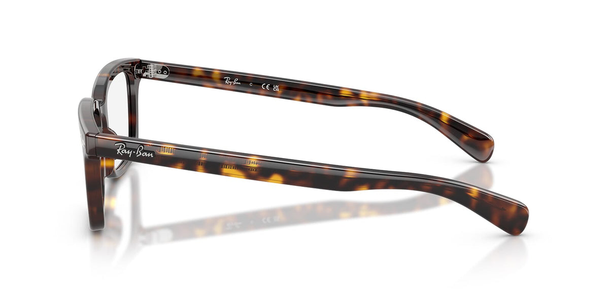 Ray-Ban Brunel RB 5534 2012