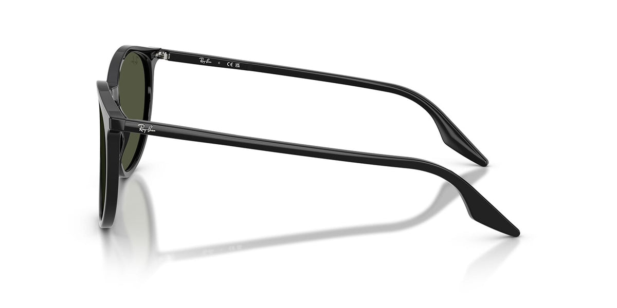 Ray-Ban RB 2204 901/31