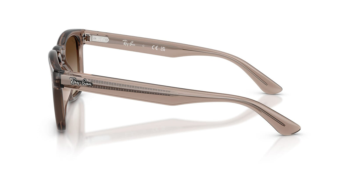 Ray-Ban RB 2238 6827/13