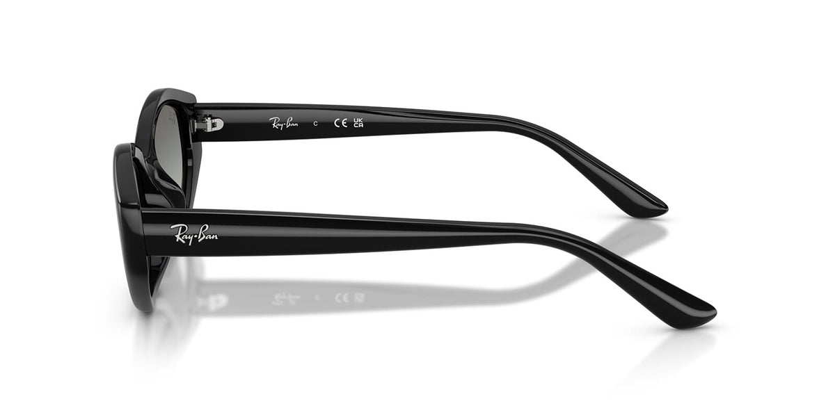 Ray-Ban RB 4473D 6677/11