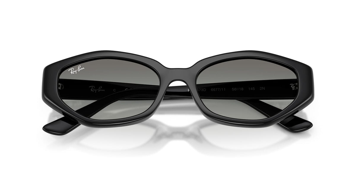 Ray-Ban RB 4473D 6677/11