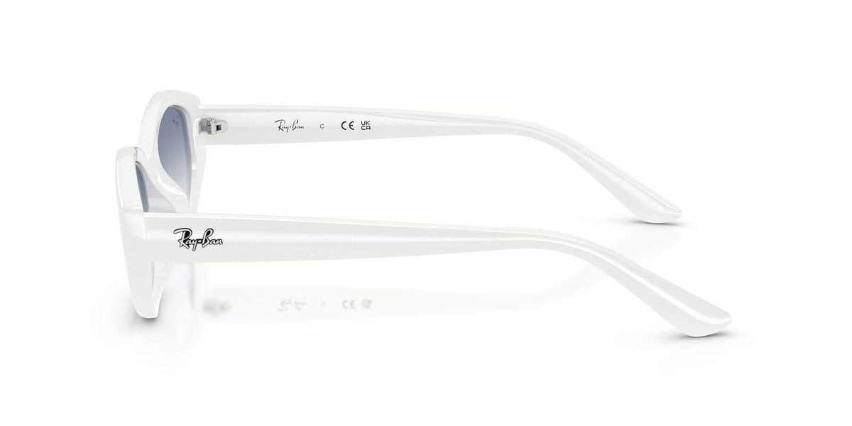 Ray-Ban RB 4473D 6772/19