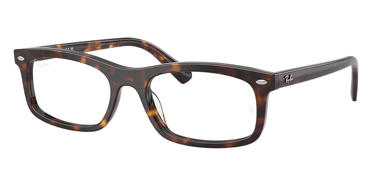 Ray-Ban RB 5450 2012