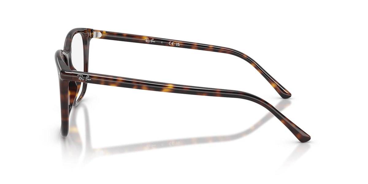 Ray-Ban RB 5455 2012