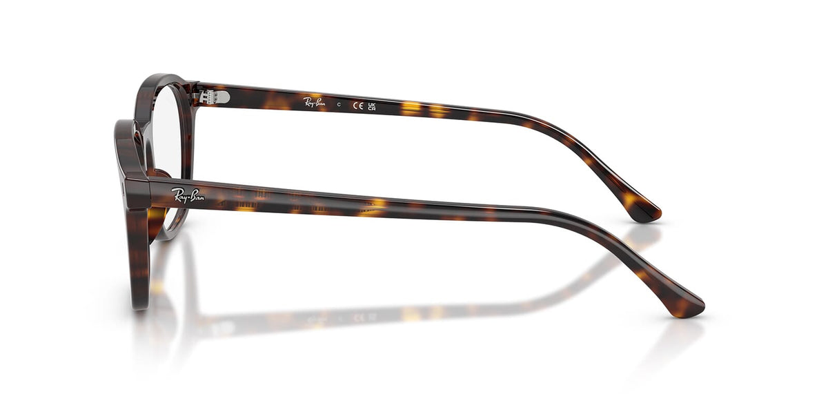 Ray-Ban RB 5460 2012