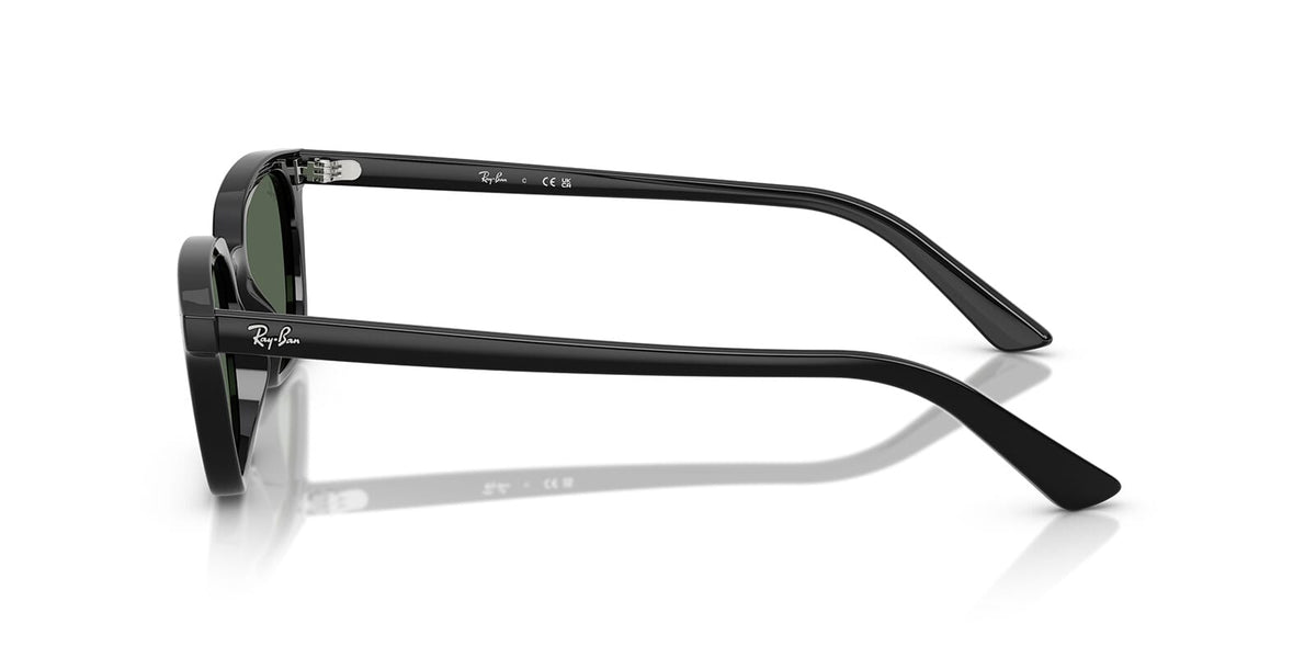 Ray-Ban Zaya RB 4456 6677/71