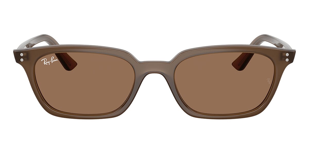 Ray-Ban Zaya RB 4456 6779/73