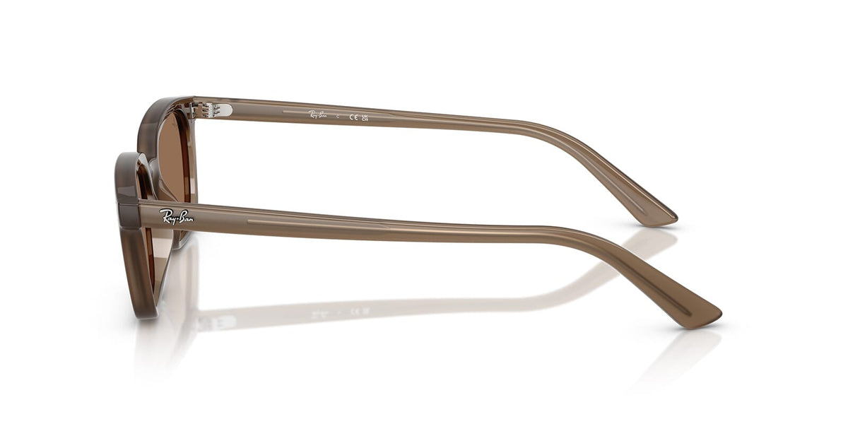 Ray-Ban Zaya RB 4456 6779/73