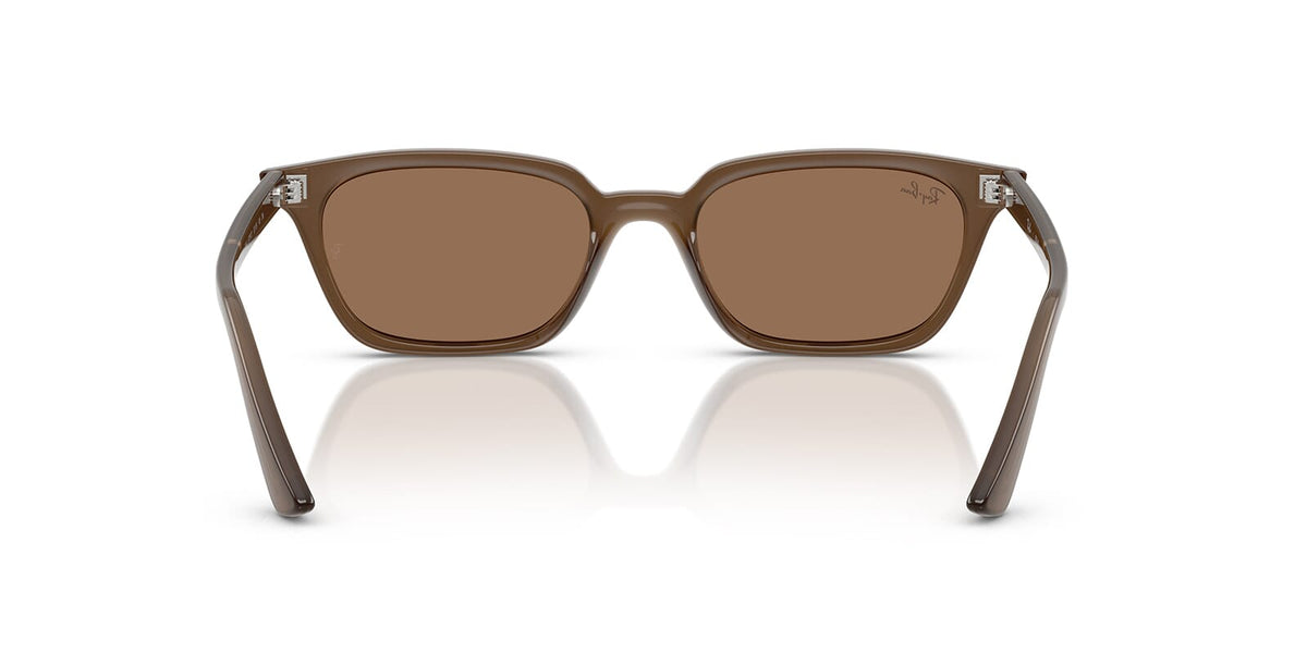 Ray-Ban Zaya RB 4456 6779/73