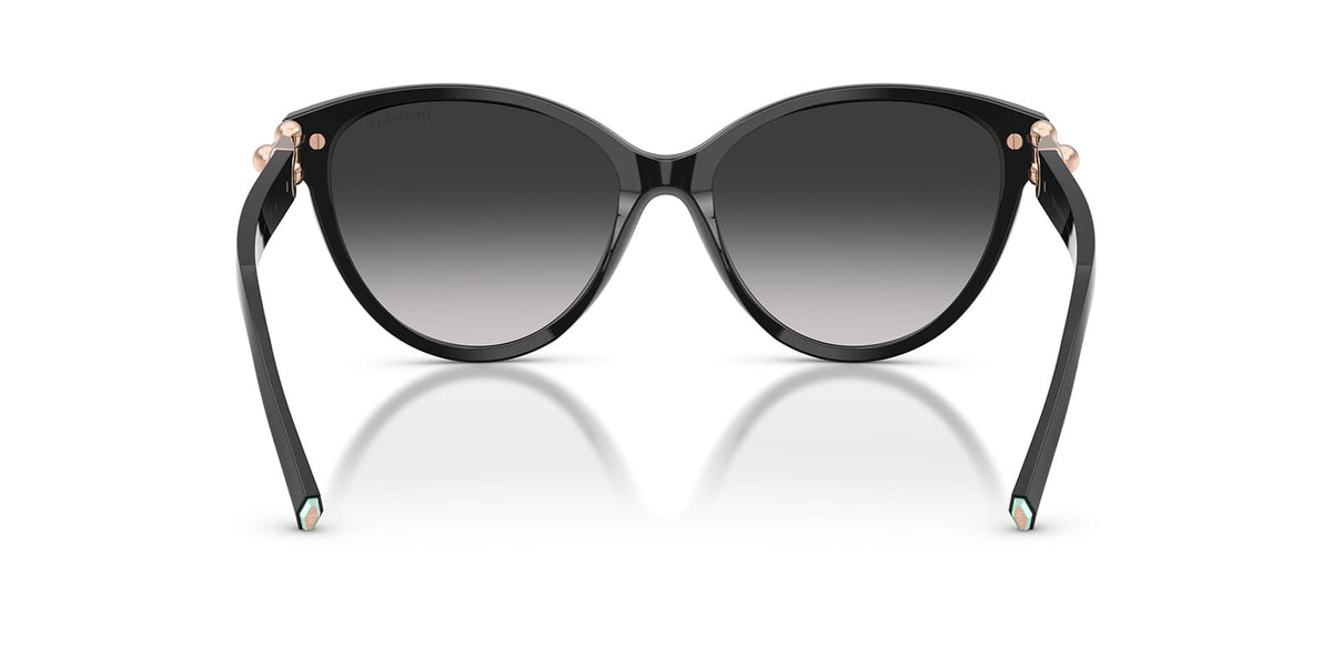 Tiffany & Co TF4261 8001/3C