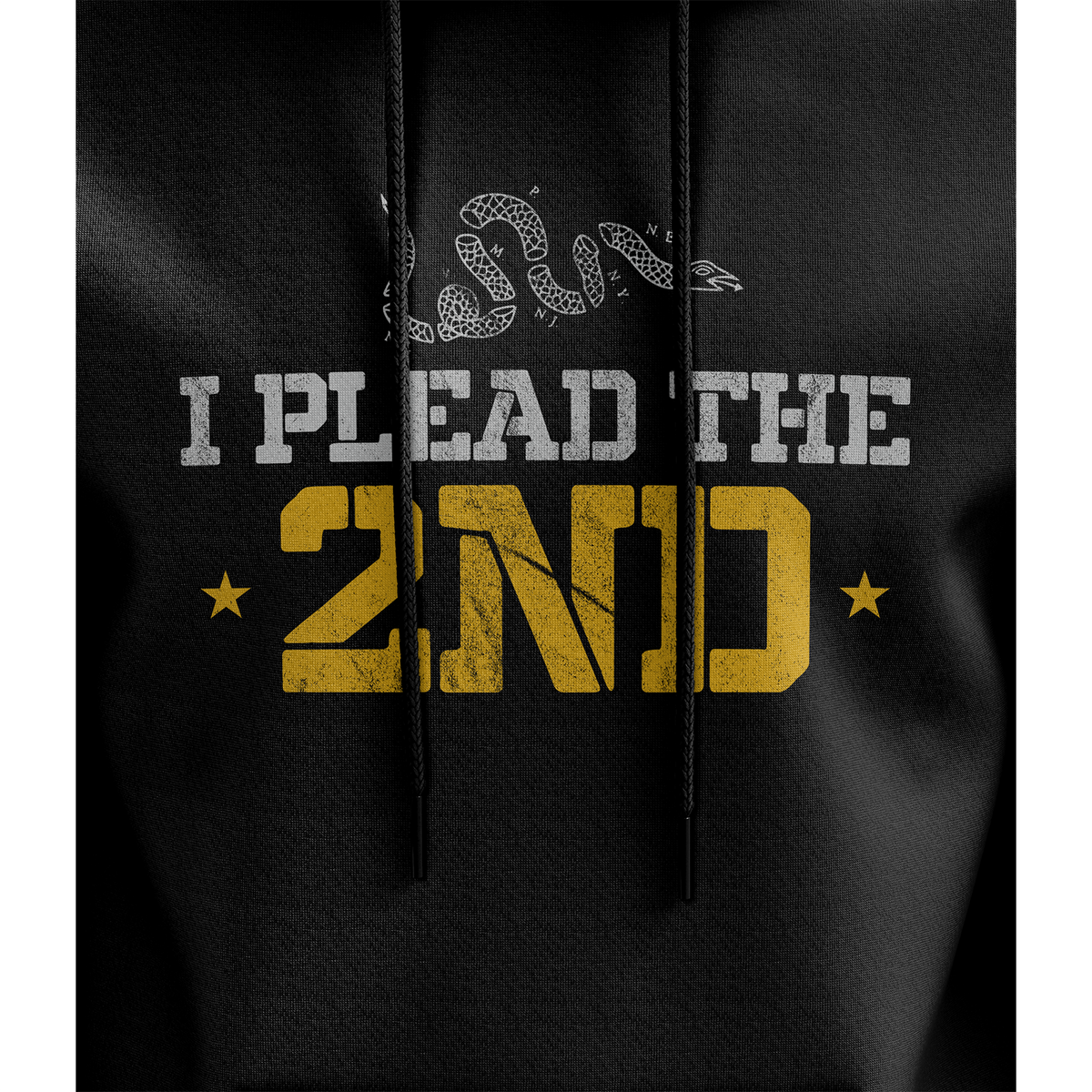 I Plead the 2nd Hoodie