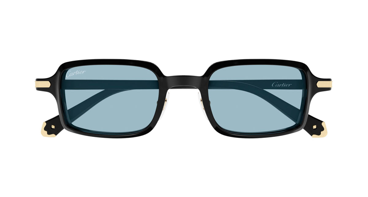 Cartier CT0539S 006