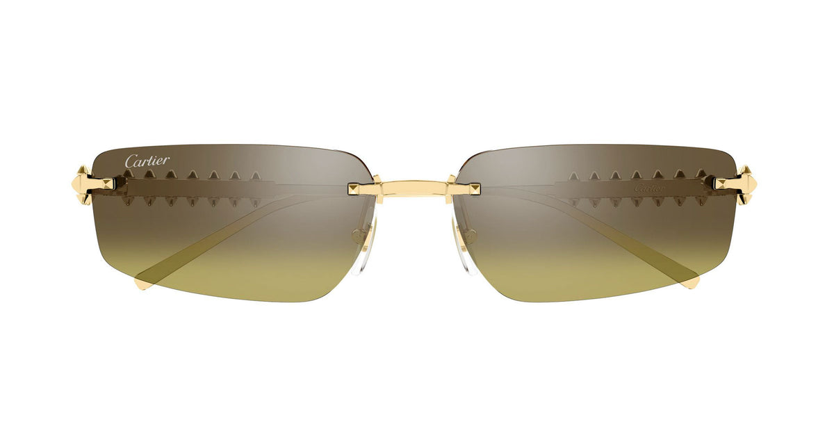Cartier CT0544S 006