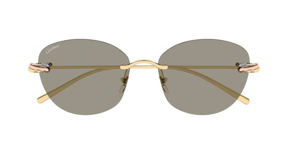 Cartier CT0685S 003