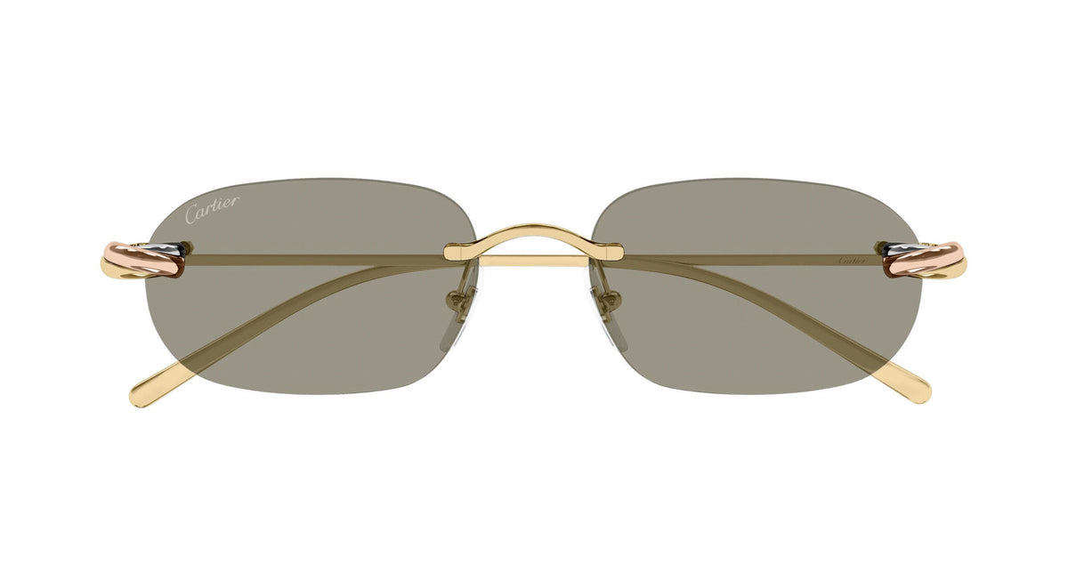 Cartier CT0686S 003
