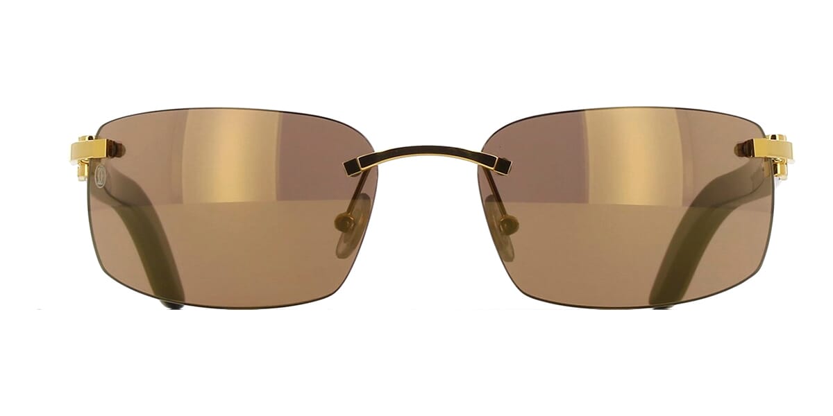 Cartier Buffalo Horn CT0046S 004 6J4
