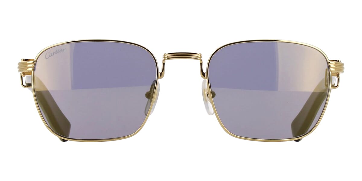 Cartier Buffalo Horn CT0363S 003