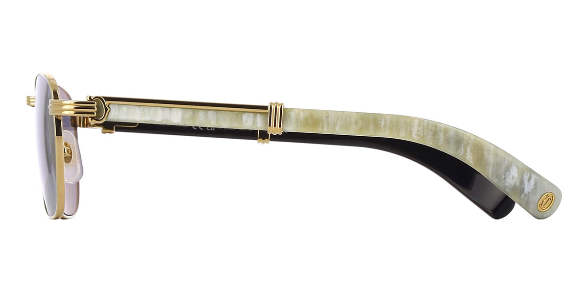 Cartier Buffalo Horn CT0363S 003
