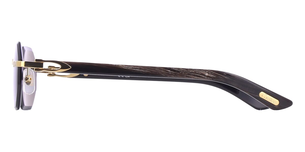 Cartier Buffalo Horn CT0439S 001 0JW