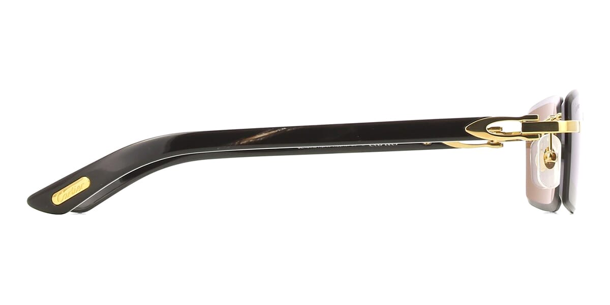 Cartier Buffalo Horn CT0582S 001 7G9