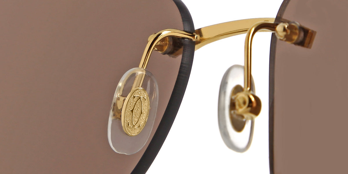 Cartier Buffalo Horn CT0046S 004 5LF