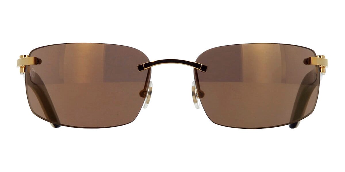 Cartier Buffalo Horn CT0046S 004 5LF