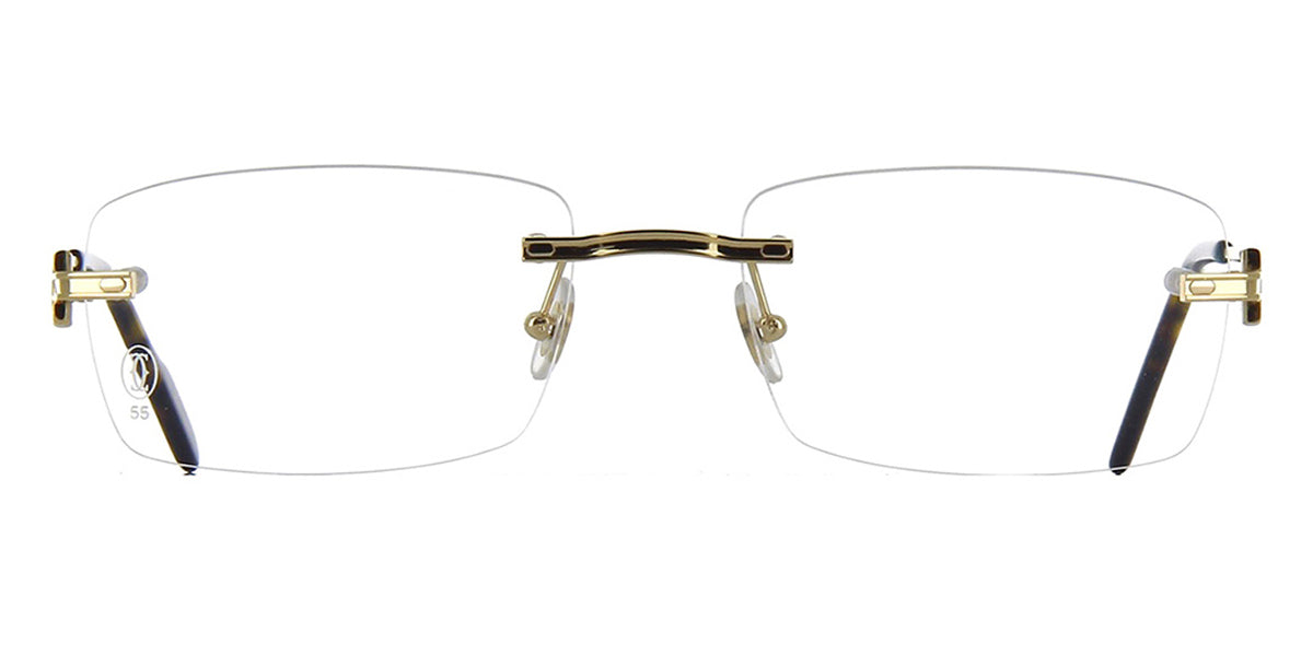 Cartier CT0259O 002