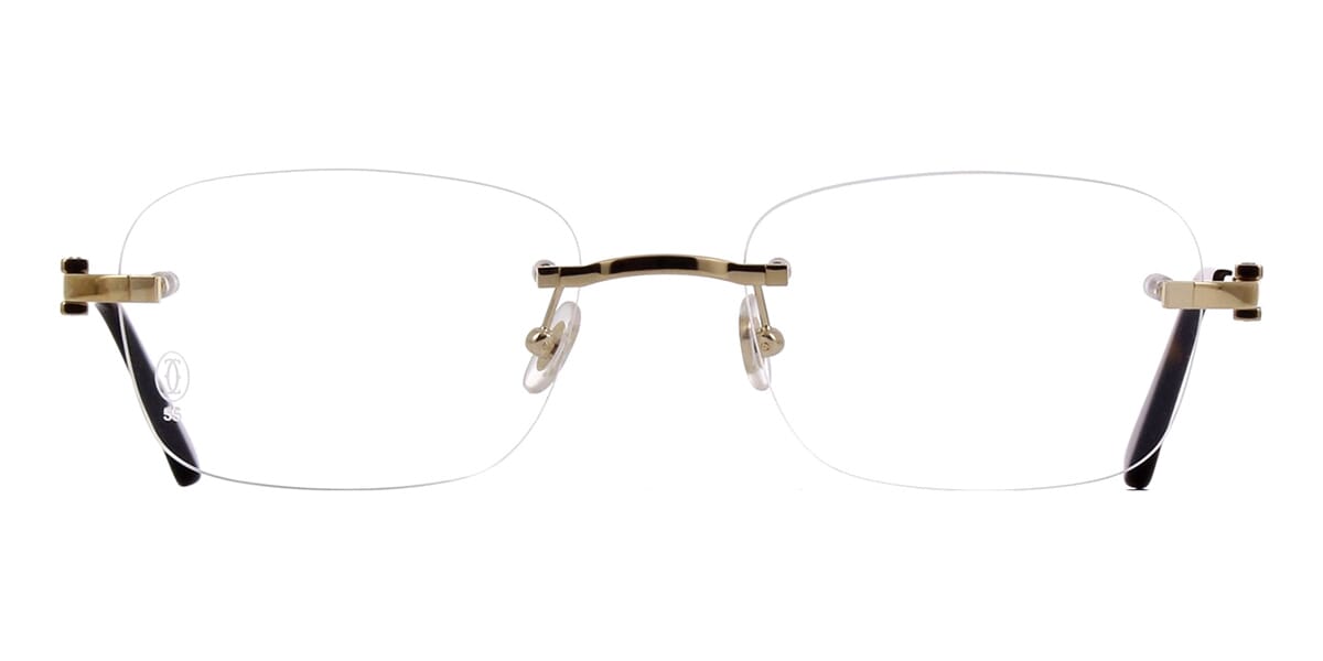 Cartier CT0290O 003